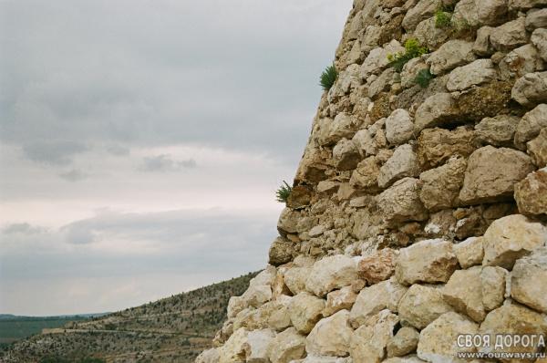 19970042.JPG