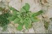 19980141.JPG