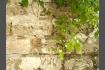 DSC07558.jpg