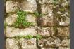 DSC07557.jpg