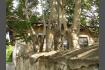 DSC07556.jpg