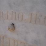 DSC07259-1.jpg