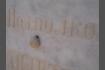 DSC07259-1.jpg