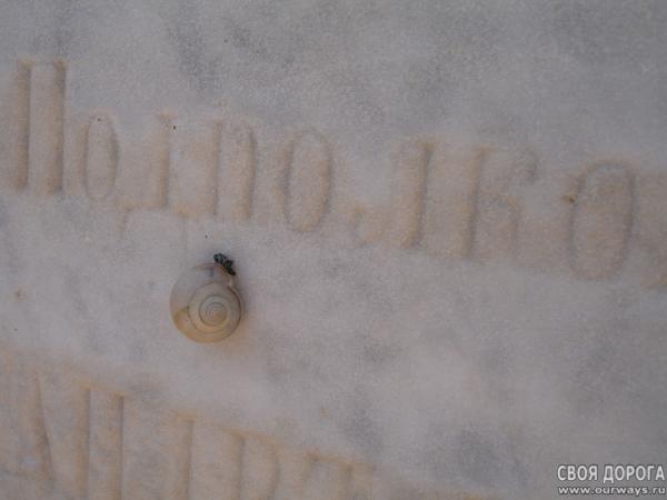 DSC07259-1.jpg