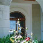 19990057.jpg
