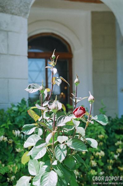 19990057.jpg