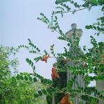 19990059.jpg