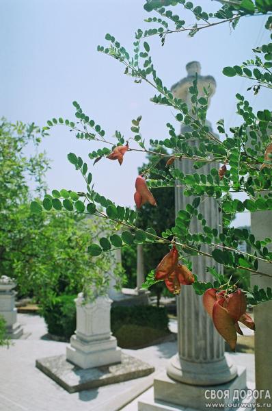 19990059.jpg