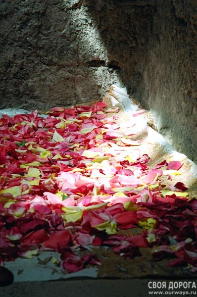 19990050.jpg