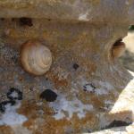 DSC07243-1.jpg