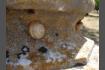 DSC07243-1.jpg