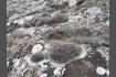 DSC07255-1.jpg
