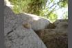 DSC07273-1.jpg