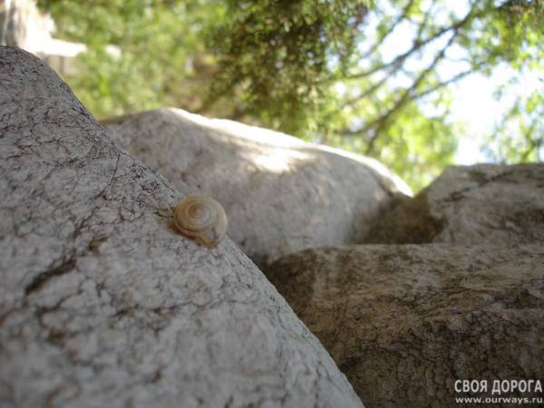 DSC07273-1.jpg