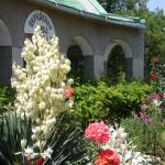 DSC07295-1.jpg