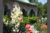 DSC07295-1.jpg