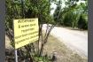 DSC07308-1.jpg
