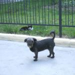 DSC07473-1.jpg