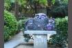 DSC07474-1.jpg