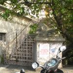 DSC07478-1.jpg