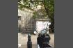 DSC07478-1.jpg