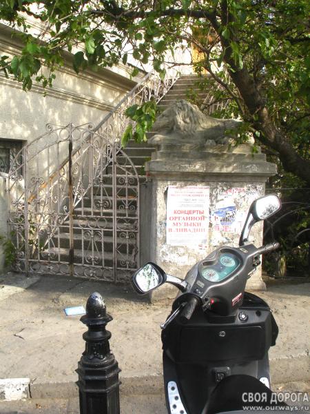 DSC07478-1.jpg