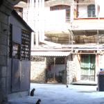 DSC07456-1.jpg