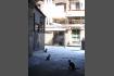 DSC07456-1.jpg
