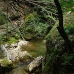 DSC07547-1.jpg