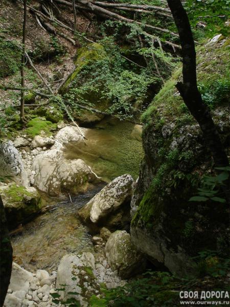DSC07547-1.jpg