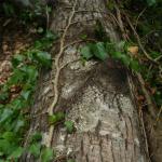 DSC07548-1.jpg