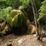 DSC07530-1.jpg