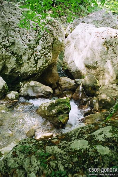 19970087.JPG
