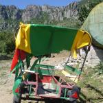 DSC07141-1.jpg
