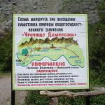DSC07134-1.jpg
