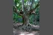 DSC07150-1.jpg