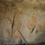 DSC07507-1.jpg