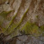 DSC07502-1.jpg
