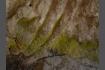 DSC07502-1.jpg