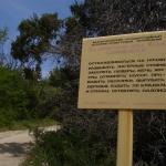 DSC07495-1.jpg