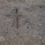 DSC07503-1.jpg