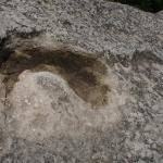 DSC07496-1.jpg