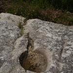 DSC07497-1.jpg