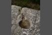 DSC07497-1.jpg