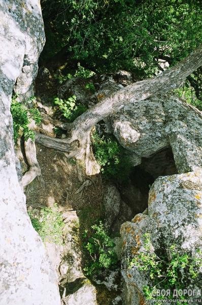 19980062.jpg