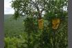 DSC07501-1.jpg