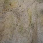 DSC07504-1.jpg