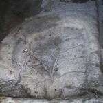 DSC07498-1.jpg