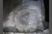 DSC07498-1.jpg