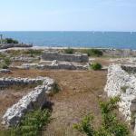 DSC07009-1.jpg